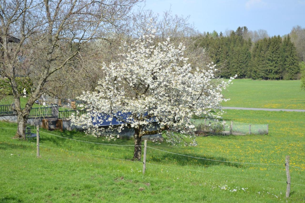 Biohof Auinger, Der Tiererlebnishof Διαμέρισμα Aurach am Hongar Εξωτερικό φωτογραφία